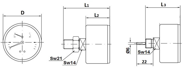 WATTS F+R818 Термоманометр аксиальный (подключение сзади) 2